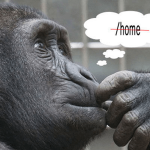 thinking-monkey-image-600x450